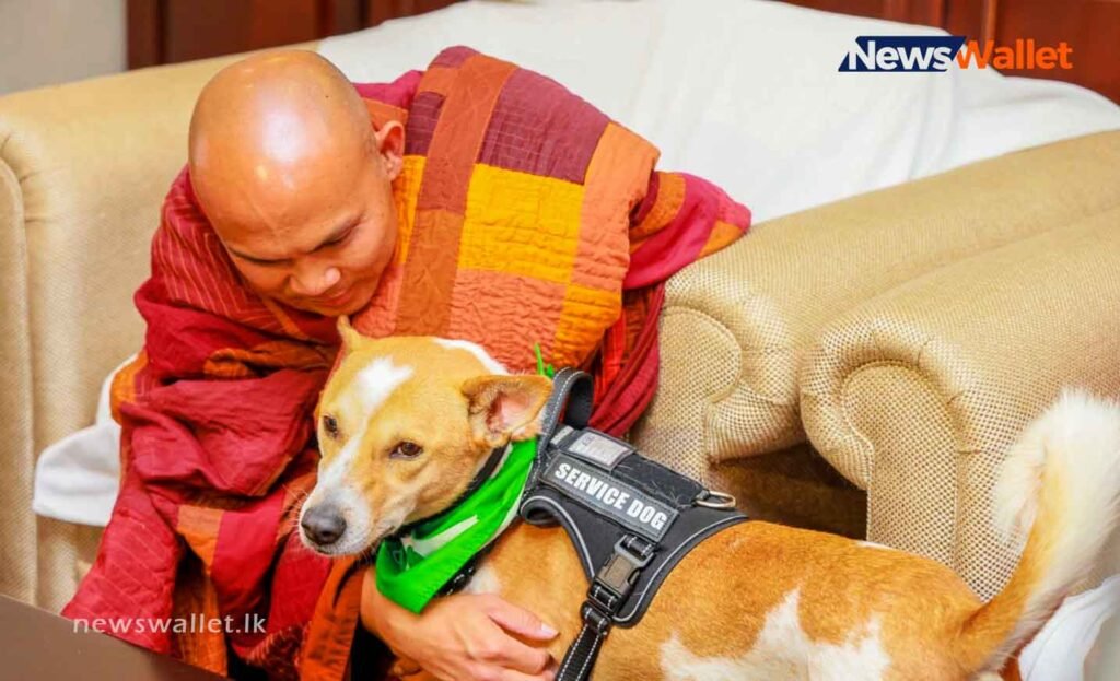 Walk for Peace pilgrimage