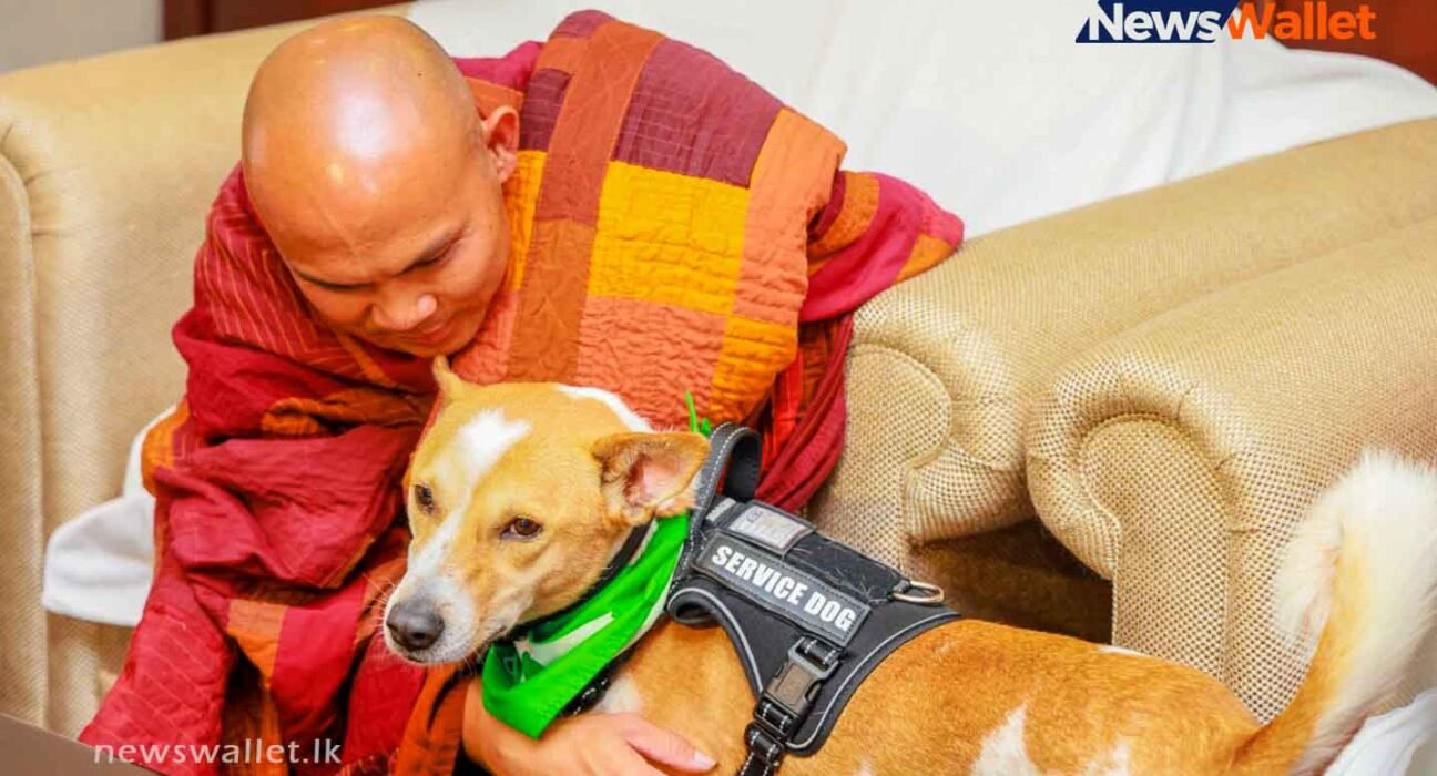 Walk for Peace pilgrimage