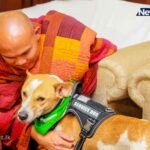 Sri Lanka Cricket Resignation: Shammi Silva and Executive Committee Step Down Amid Pressure